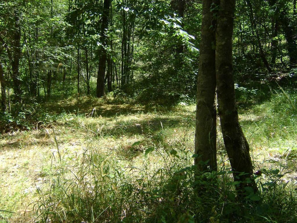 Camping Le P'Tit Bonheur Escaro Εξωτερικό φωτογραφία